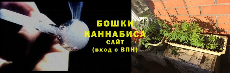 Бошки Шишки OG Kush  цена   Касли 